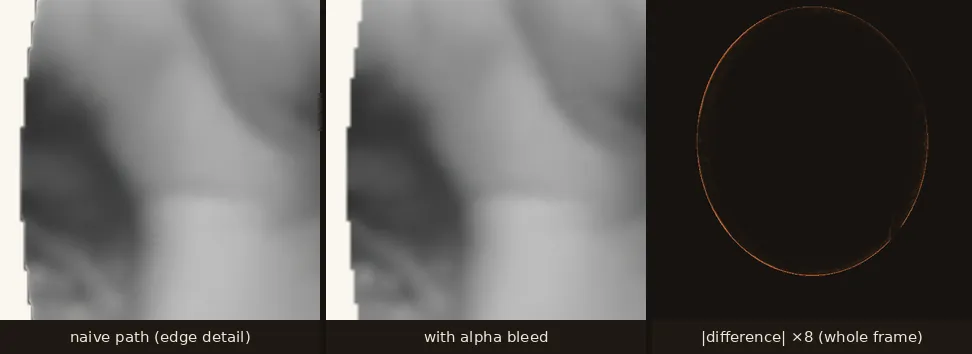 Edge detail of the naive and bled reconstructions, plus an amplified difference heat map showing the halo hugging the alpha boundary