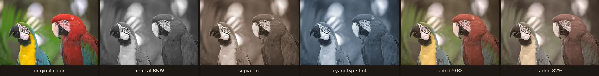 Six versions of the same parrot photo: original color, neutral black and white, sepia, cyanotype, half faded, and heavily faded